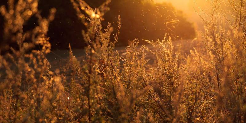 5G专网与TSN融合：编程开发视角下的工业自动化控制体系重塑