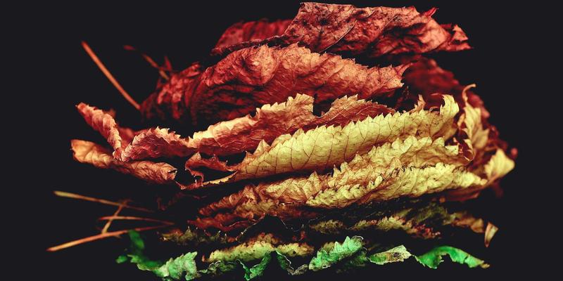 BLD LCG与云计算：解锁高效资源分享的新范式