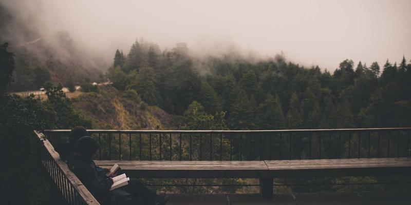 BLD LCG技术架构解析：从资源分享到编程开发的实践启示