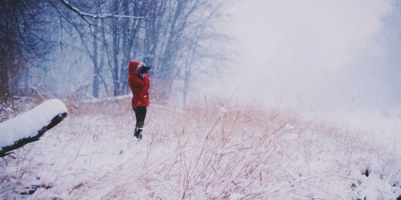BLD LCG技术解析：构建下一代网络安全防御体系的基石