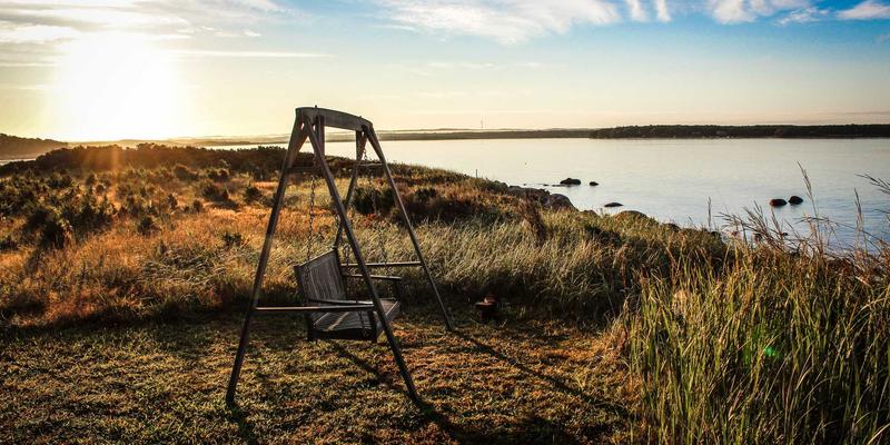 SD-WAN智能选路与SaaS加速：编程开发与云计算时代的网络资源优化实践