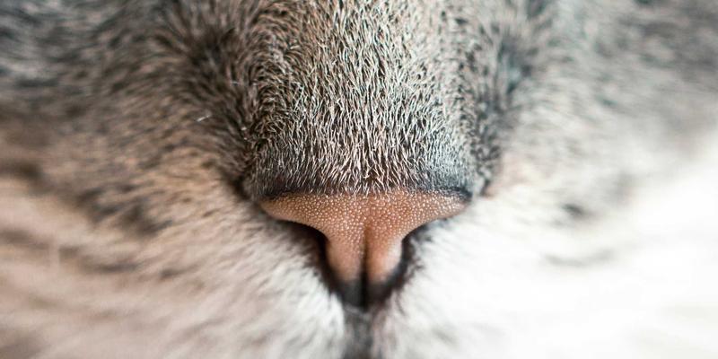 Wi-Fi 7技术深度剖析：如何重塑高密度场景与企业无线网络，赋能云计算与网络安全