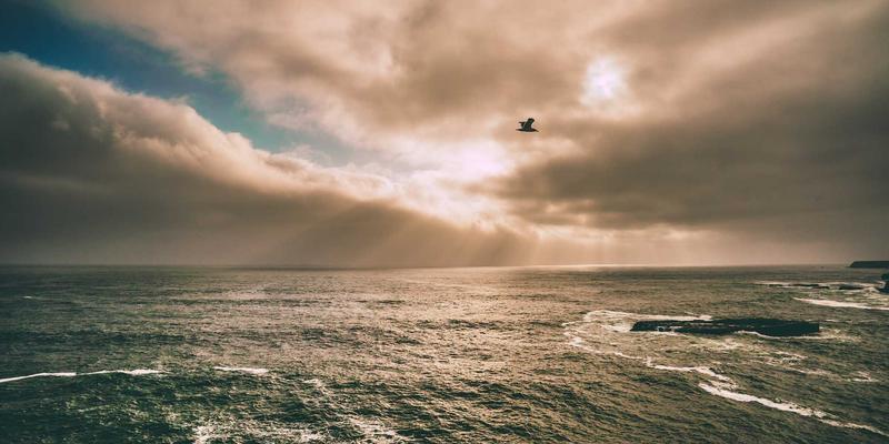 云原生网络技术解析：容器化环境下的服务发现、负载均衡与可观测性实践