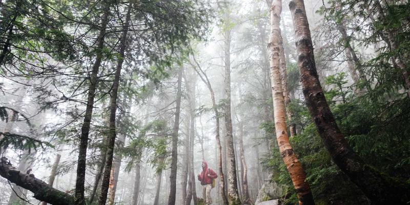 云原生网络服务网格(Service Mesh)原理、优势与实践指南：编程开发与网络安全的融合