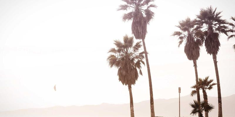 云计算实战指南：技术博客与资源分享的现代应用