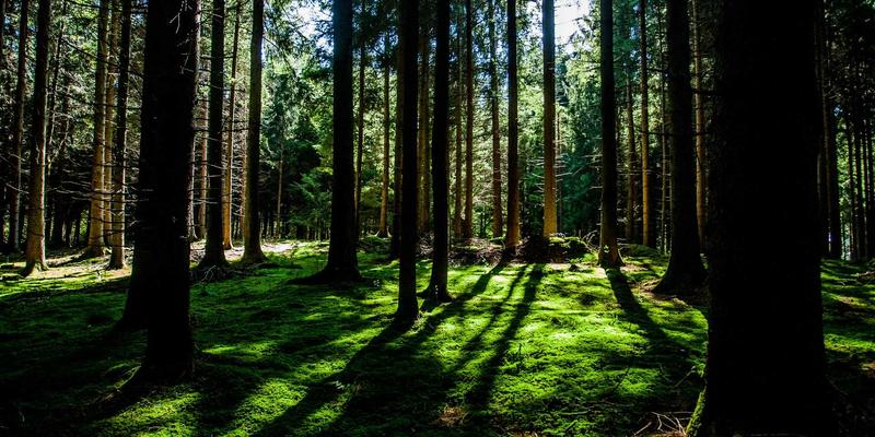 企业级SD-WAN组网方案：优化多分支机构网络性能的三大策略与云计算实践