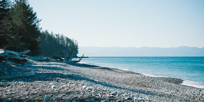 无线Mesh网络：智慧城市与应急通信的神经系统，如何通过云计算与资源分享保障网络安全