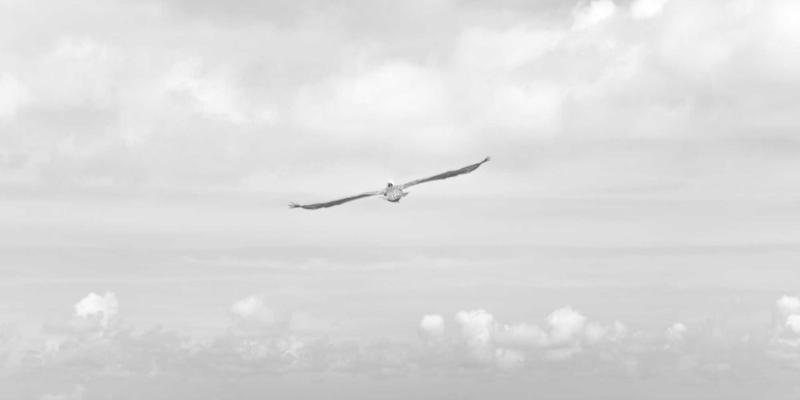 网络即代码（Network as Code）：如何通过API与编程开发驱动云时代的网络敏捷性