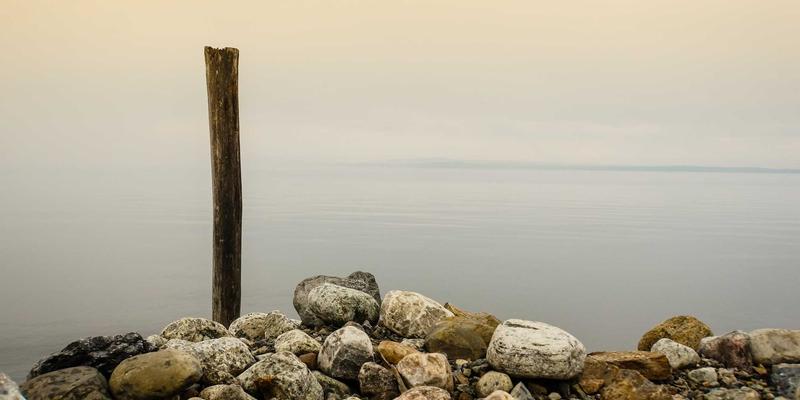 网络感知计算：动态优化分布式应用任务调度与资源分配的实战指南