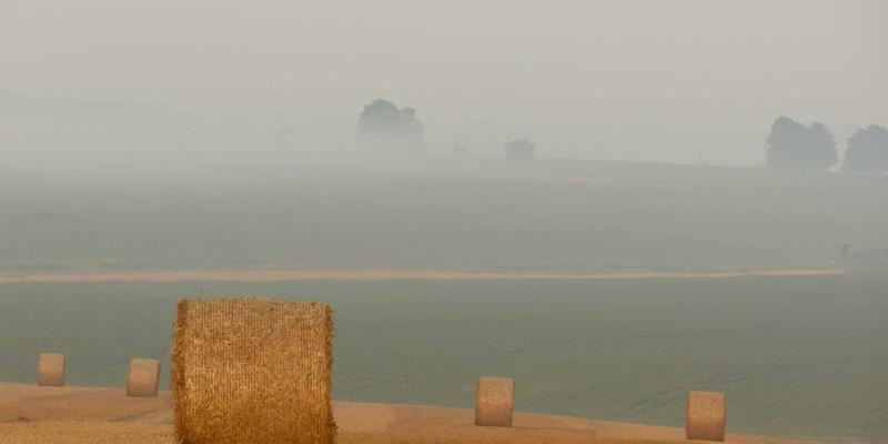 网络技术27:技术博客如何成为网络安全知识的核心阵地