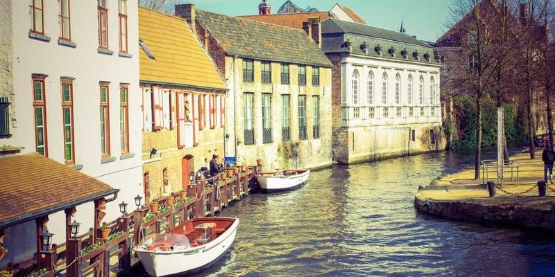 网络技术49：编程开发与网络安全融合的技术博客实践指南