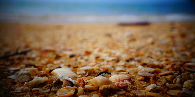 网络技术73：云计算时代下的资源分享新范式