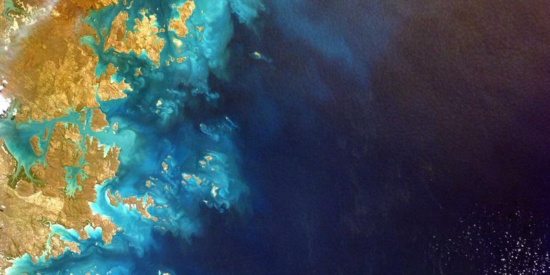 网络技术86：编程开发与网络安全融合的新范式