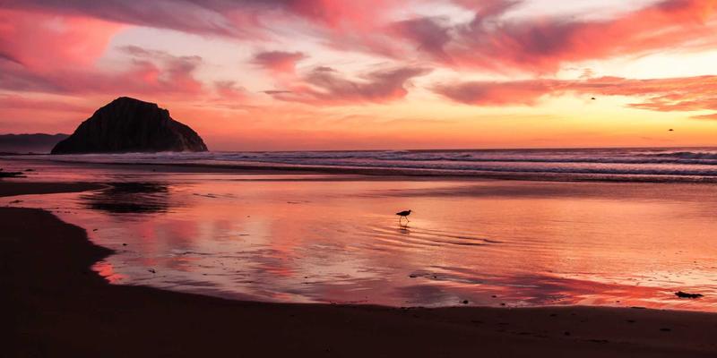 网络技术与BLD LCG融合：构建低延迟、高可靠的边缘网络架构与网络安全新范式